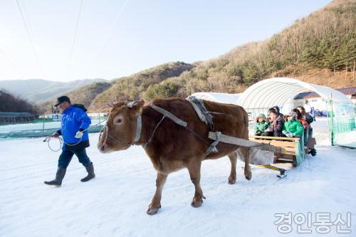 메인사진