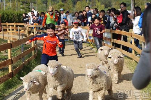 메인사진