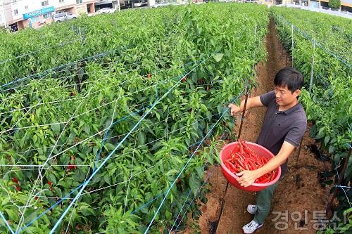 메인사진