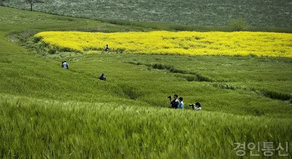 메인사진