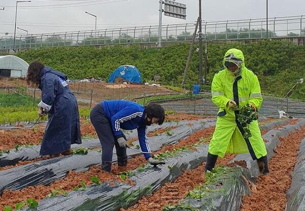 메인사진