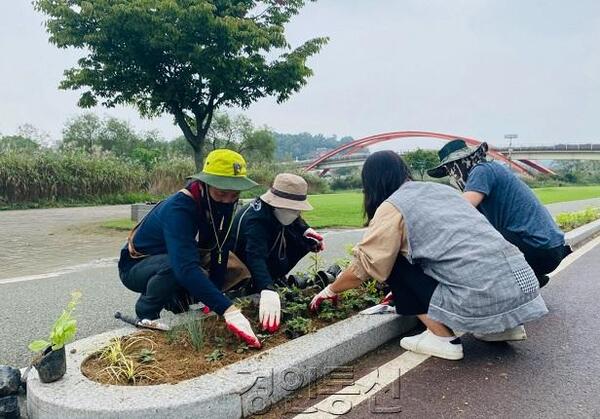 메인사진