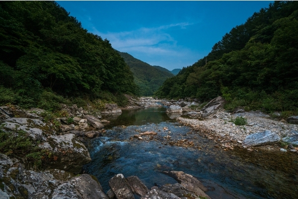 메인사진