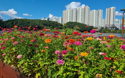 메인사진