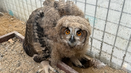 메인사진