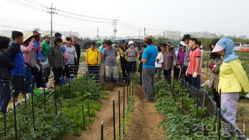 02.도시농부학교 현장 체험 사진.jpg