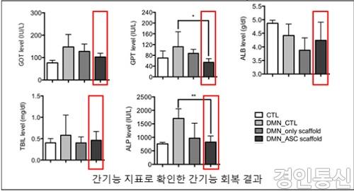 22동물모델 실험 결과.jpg