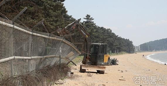 1-2. 궁평 해송군락지 군 철조망 제거  (1).jpg