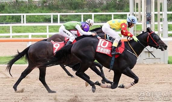 2017년7월16일 농림축산식품부관배 임성실 영광의헌터_12.jpg