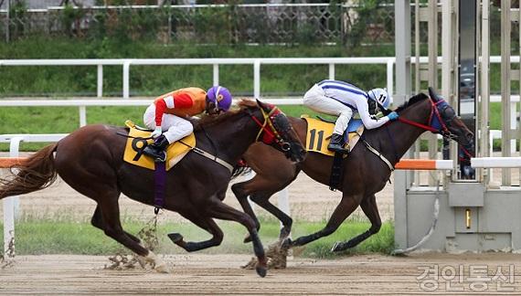 Jockey Memorial 경주 이혁 상감마마.jpg