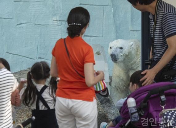 22에버랜드 북극곰 통키_.jpg