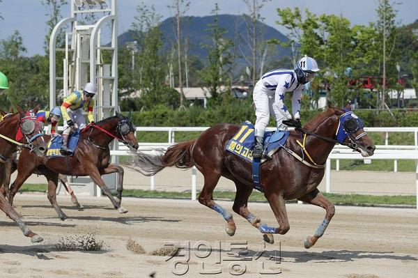 22 스포츠조선배 우승마 불의고리_ 유승완 기수.jpg