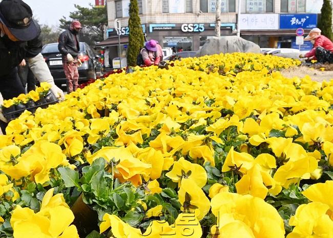 사진1)남수원중학교 앞 교통섬.jpg