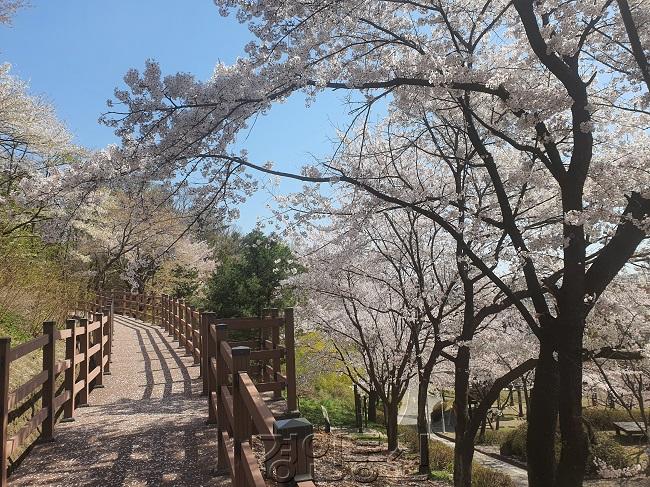 관람로+조성(김포+국제조각공원).jpg