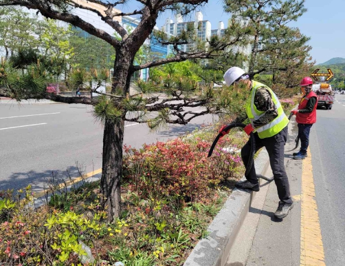 메인사진