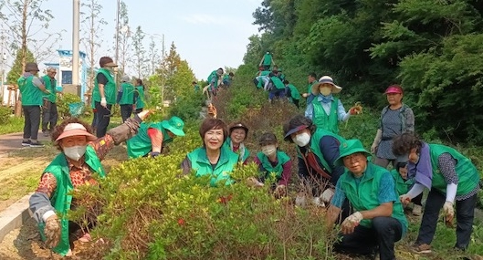 메인사진