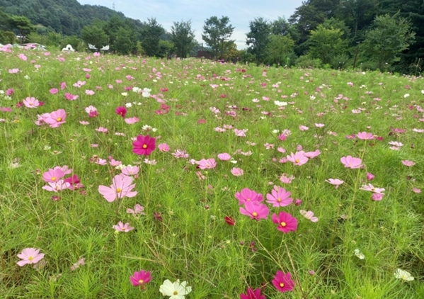 메인사진