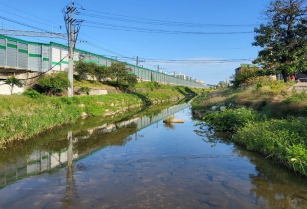 메인사진