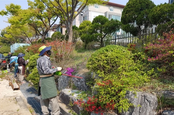 메인사진