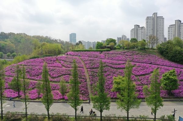 메인사진