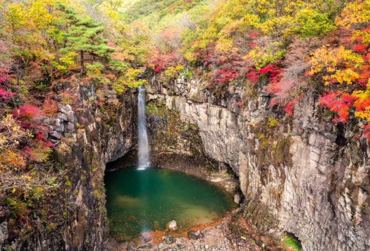 메인사진