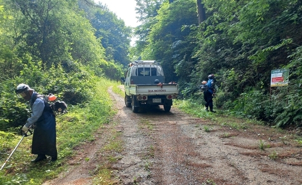 메인사진