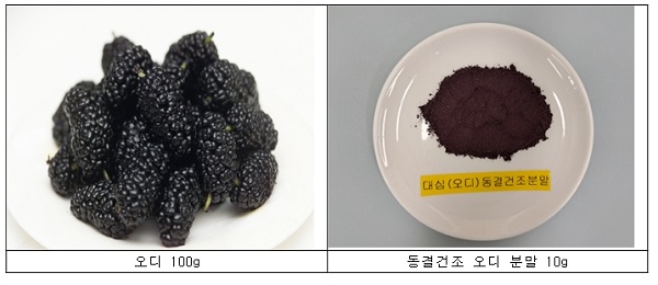 메인사진