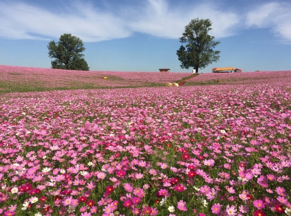 메인사진