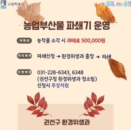 메인사진