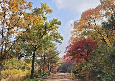 메인사진