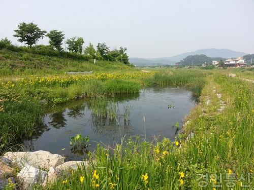 22 경안천 생태하천 콘테스트 전국1위 선정(생태하천 콘테스트 사진)12-1.jpg