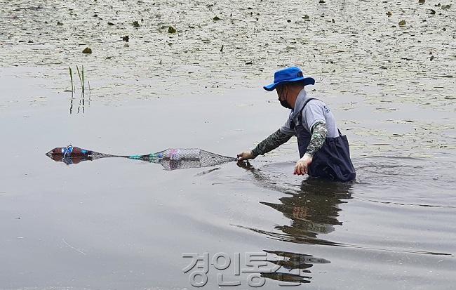 수원시, 생태계교란종 붉은귀거북 퇴치활동 ‘성과’.jpg