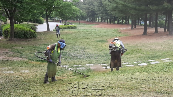 수원시, ‘지속가능한 저관리형 도시공원 숲’ 도입 추진(2).png